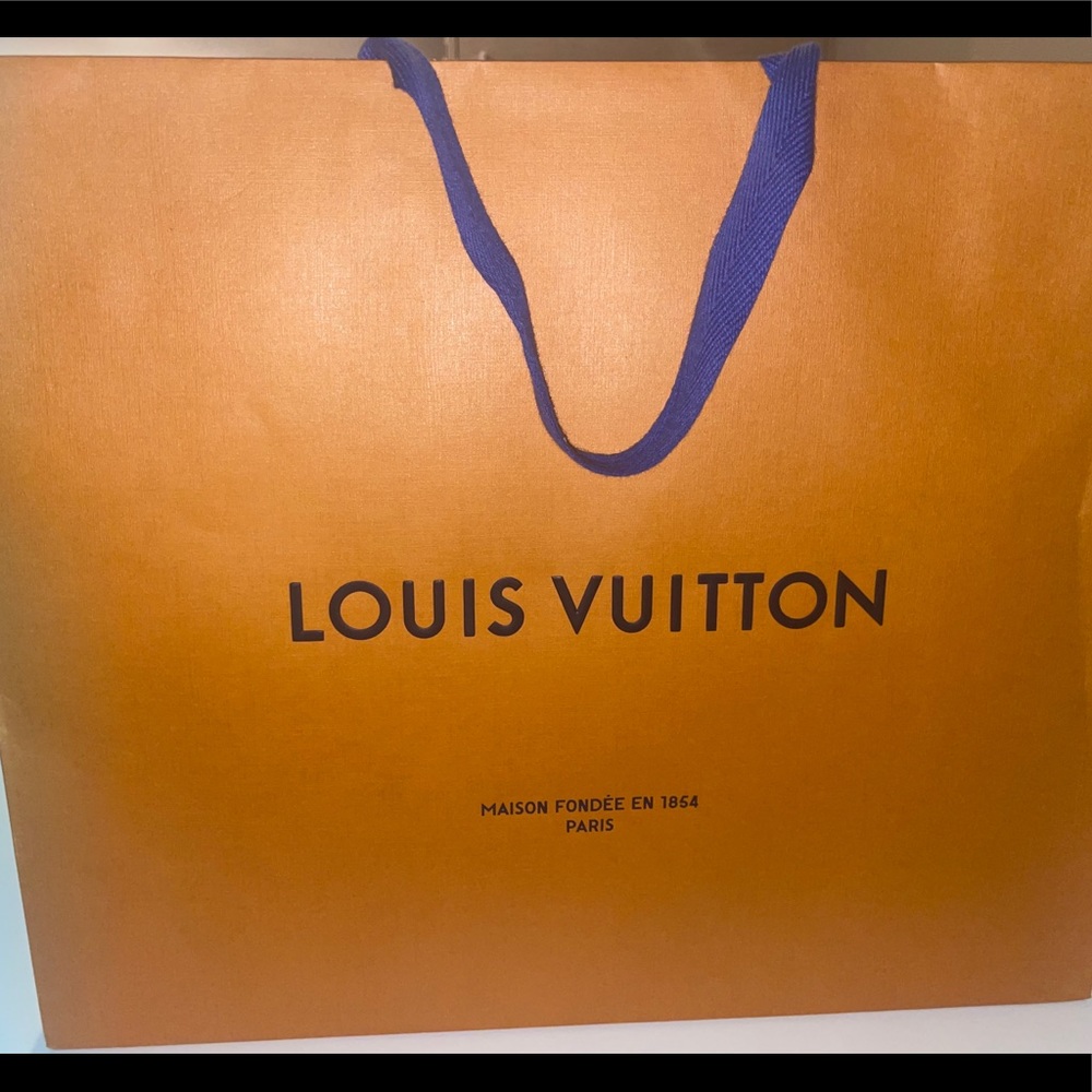 Louis Vuitton Bag and Shoe Box